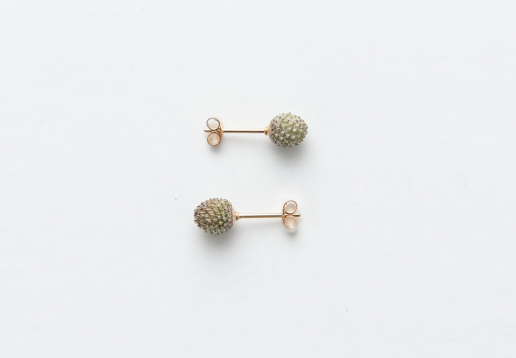 4berzelia-lanuginosa-studs