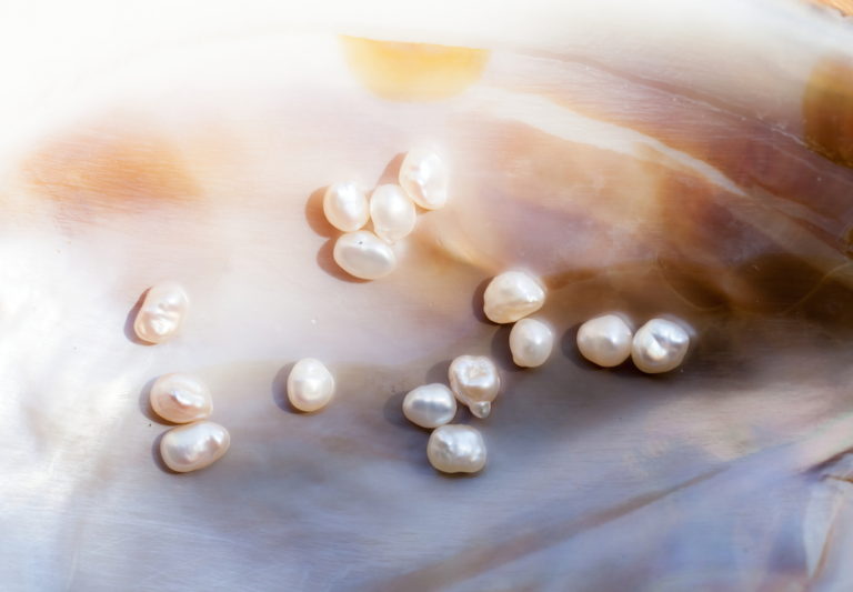 びわ湖真珠の優しい照りに魅了される『Pearls of Lake Biwa』 白金 JEWELRY JOURNAL